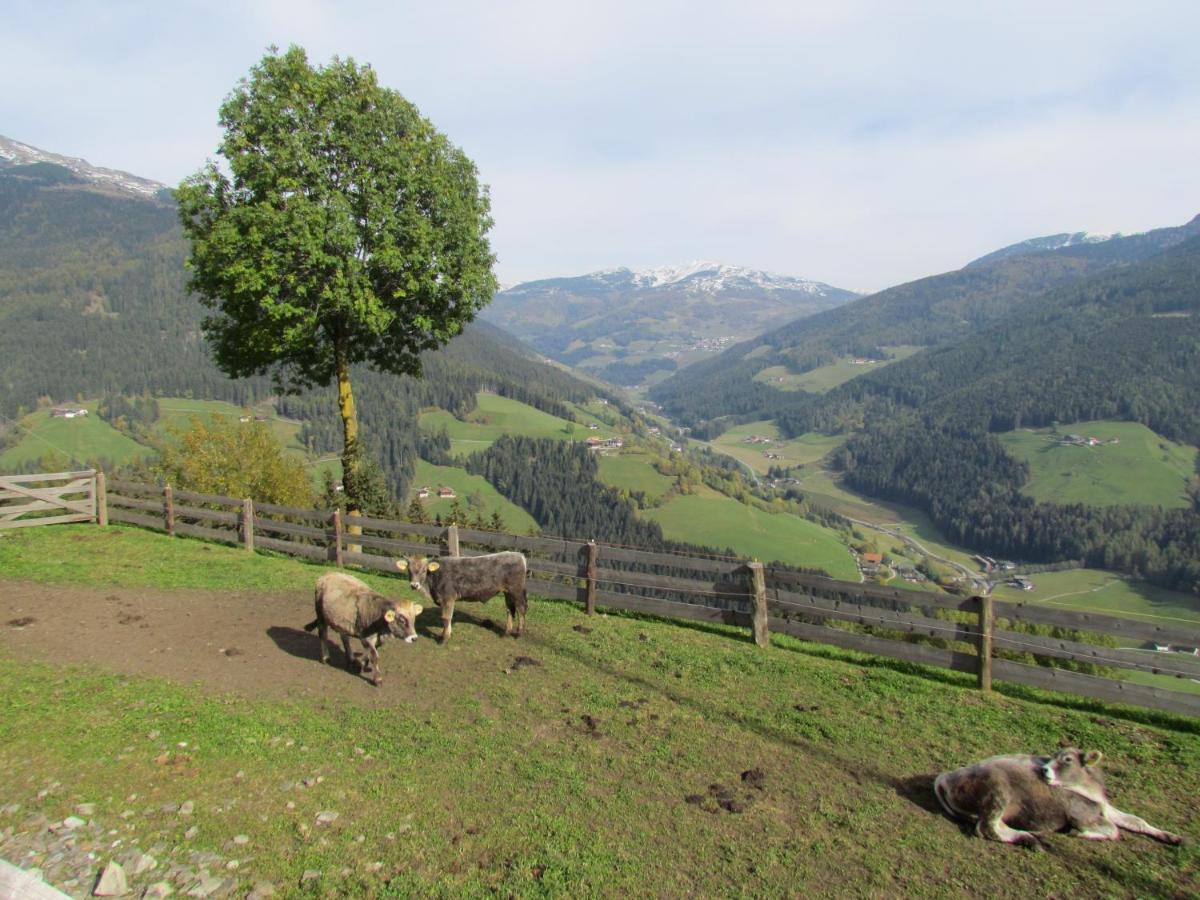 Oeberst-Hof Leilighet Sarentino Eksteriør bilde