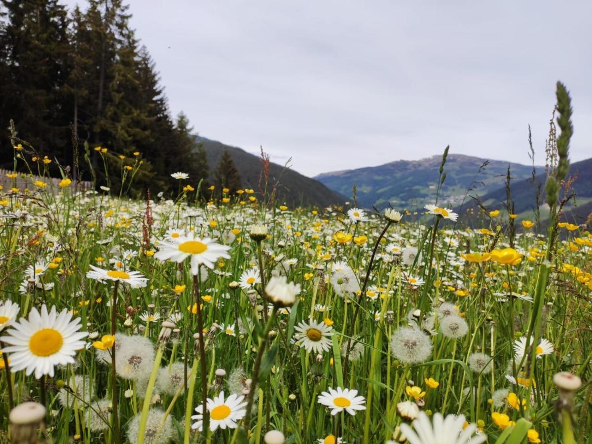 Oeberst-Hof Leilighet Sarentino Eksteriør bilde